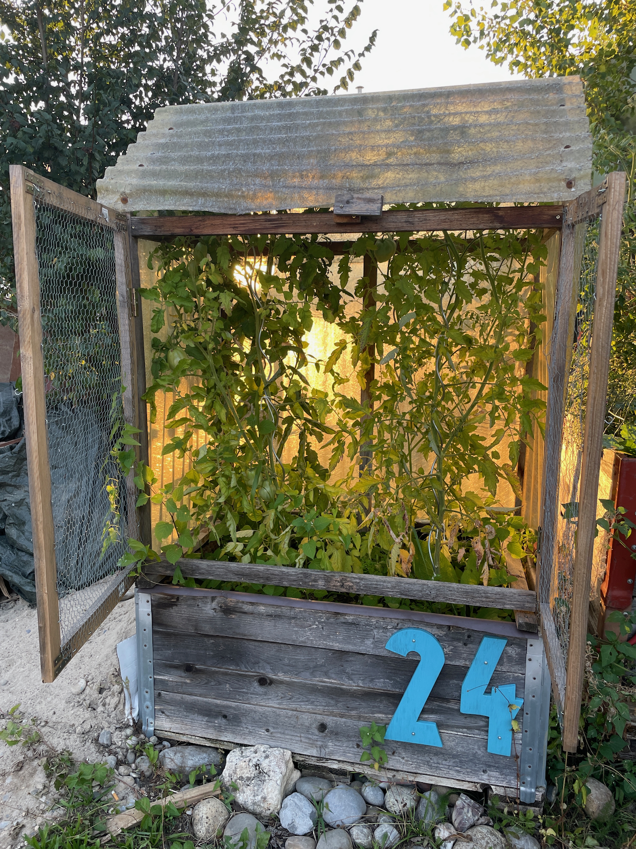 Hochbeete im Hafengarten