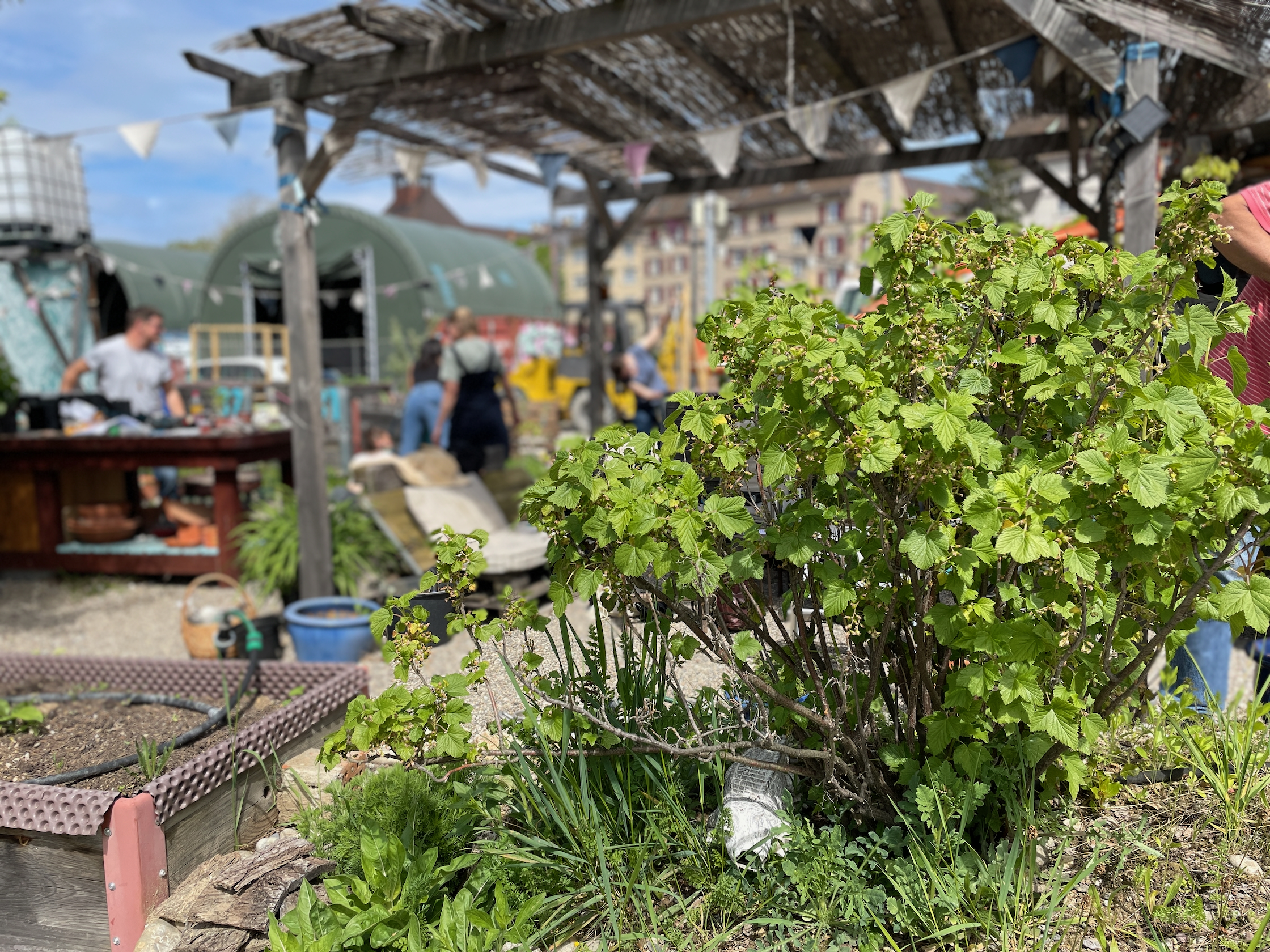 Gemeinschaftsgarten Basel